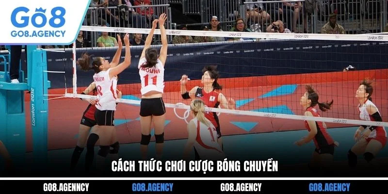 Cách thức chơi cược bóng chuyền Cách thức chơi cược bóng chuyền