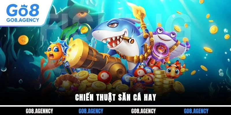 Chiến thuật săn cá hay