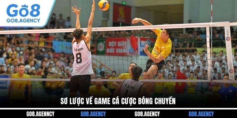 Sơ lược về game cá cược bóng chuyền Sơ lược về game cá cược bóng chuyền