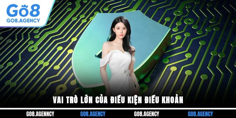 Vai trò lớn của điều kiện điều khoản